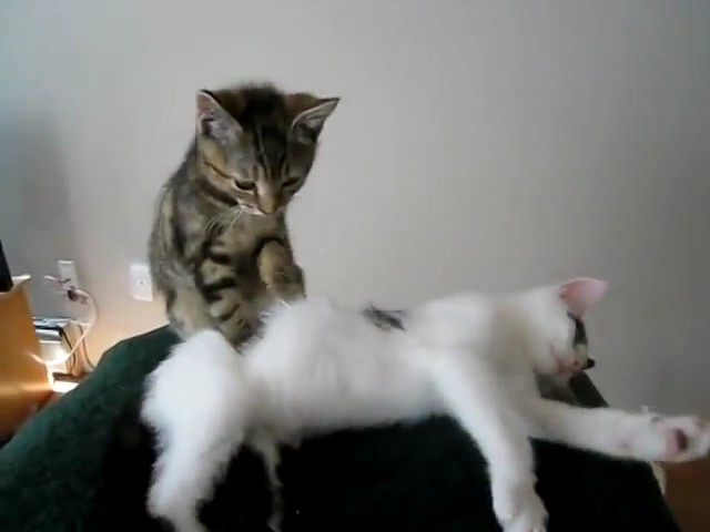 Как делать куннилингус (с демонстрацией на голой д_0.jpg